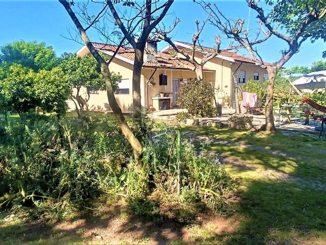 Moradia em Santo Tirso, com cinco quartos, ainda com projeto para casa contemporânea, piscina, área de lazer, anexos, atelier, terreno agrícola e pinhal