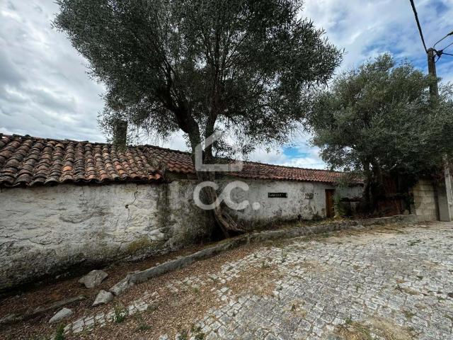 Moradia, Ervededo