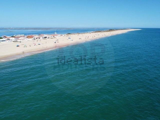Moradia, Faro