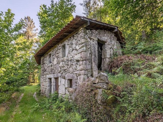 Moradia, Fonte Arcada e Oliveira