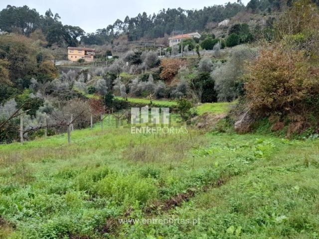 Moradia, Fornos
