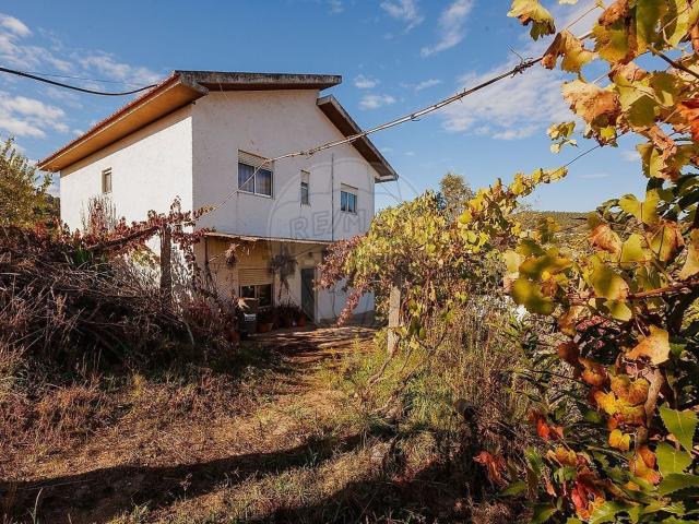 Moradia, Fornos