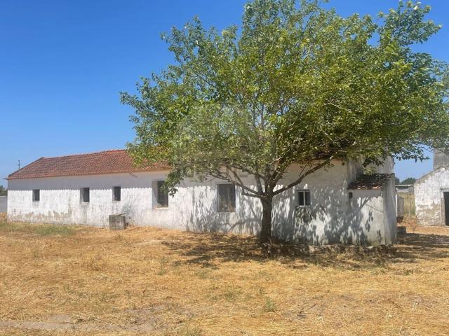 Moradia, Foros de Salvaterra