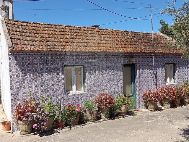 Moradia, Foros de Salvaterra