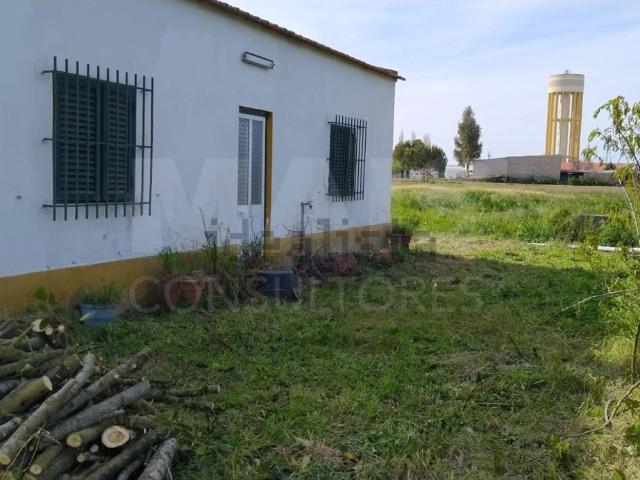 Moradia, Foros de Salvaterra