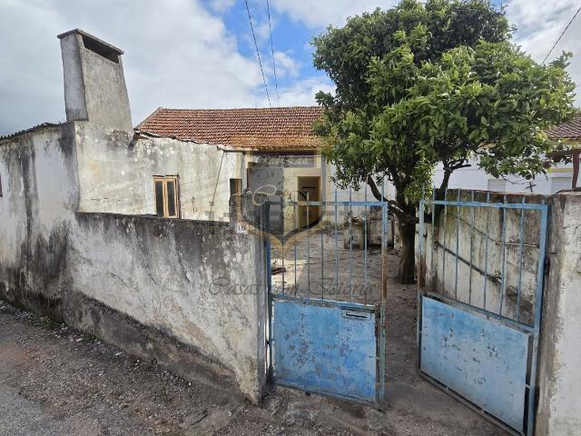 Moradia, Freiria
