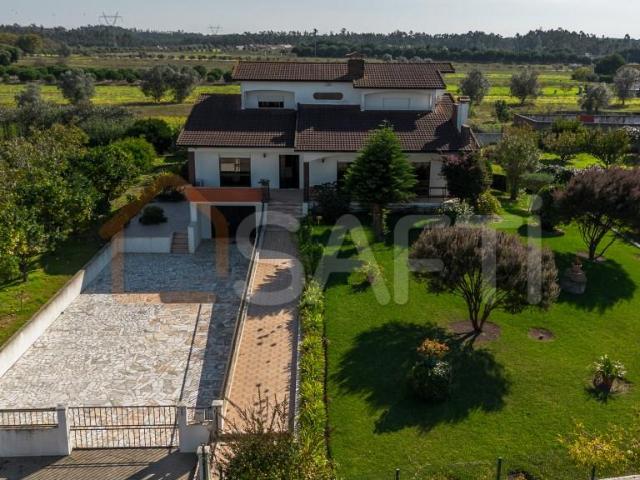 Moradia Independente T5 com Grande Potencial de Investimento 0m² Louriçal