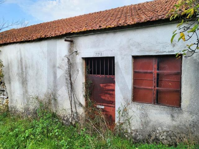 Moradia independente em Madalena e Beselga, Tomar