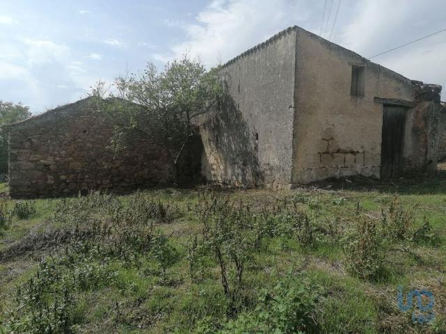 Moradia, Lamas