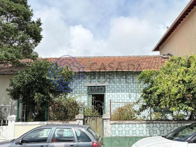 Moradia, Lordelo do Ouro e Massarelos