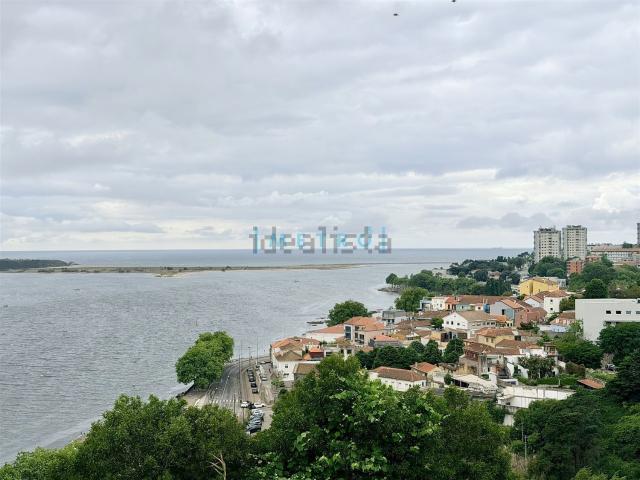 Moradia, Lordelo do Ouro e Massarelos