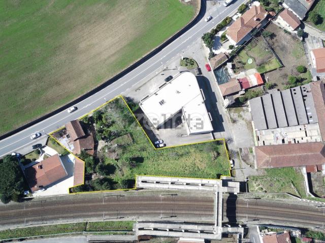 Moradia, Louro