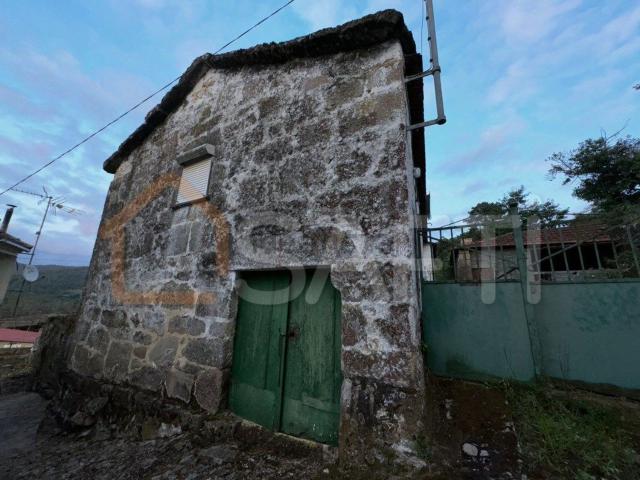 Moradia, Paços