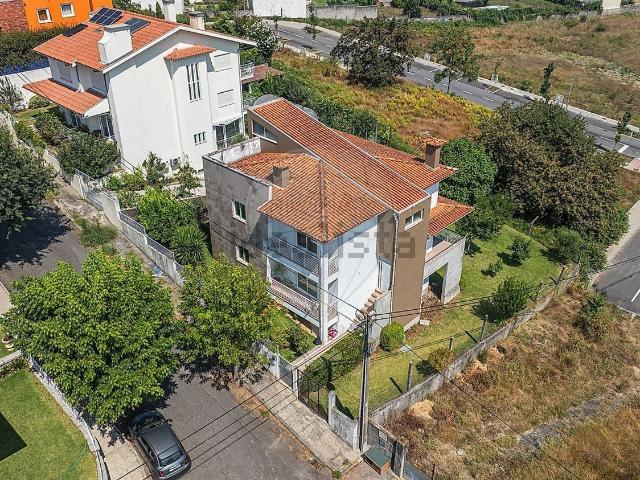 Moradia, Palmeira