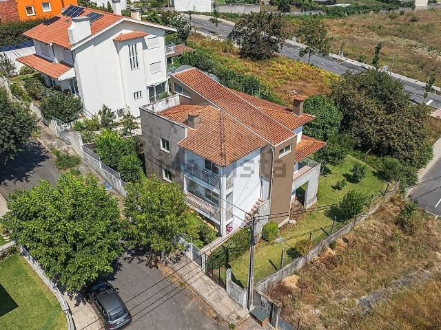 Moradia, Palmeira