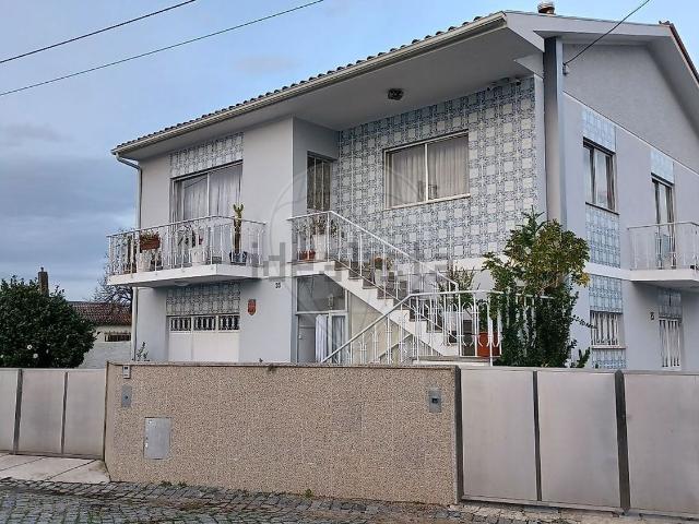 Moradia, Palmeira