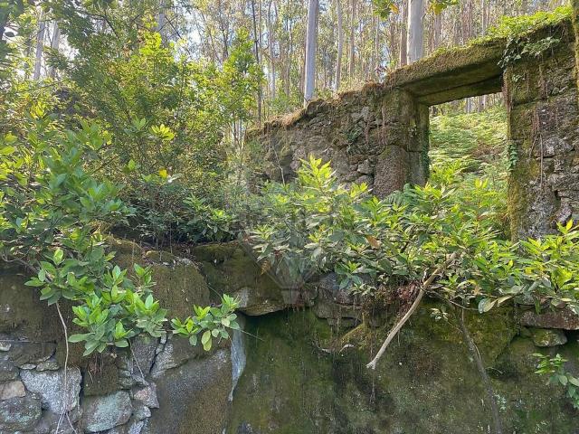 Moradia, Panque