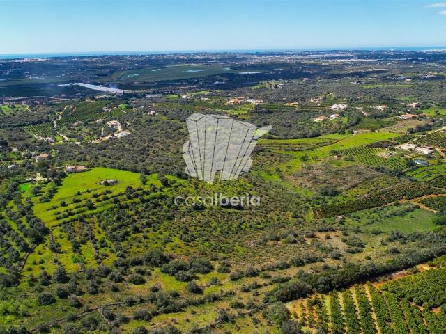 Moradia para Reconstrução Poço Barreto Silves 235m² Silves