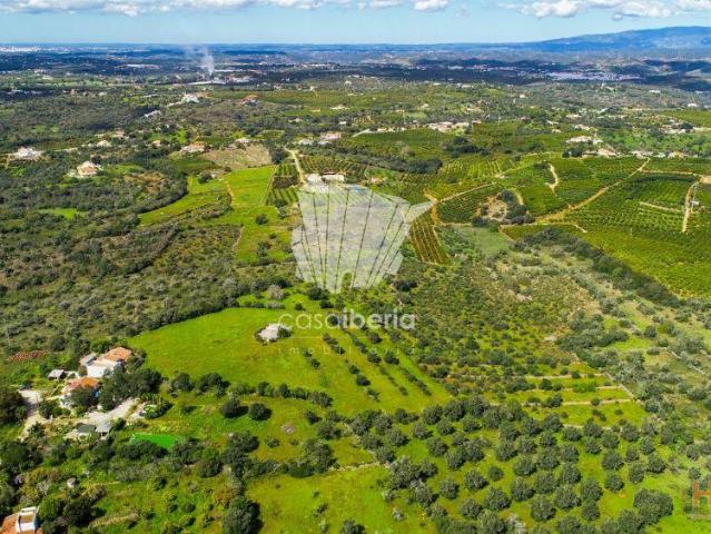 Moradia para Reconstrução Poço Barreto Silves | 25073958776