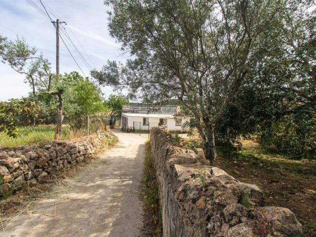 Moradia Para Recuperar São Clemente Loulé 64m² Loulé São Clemente