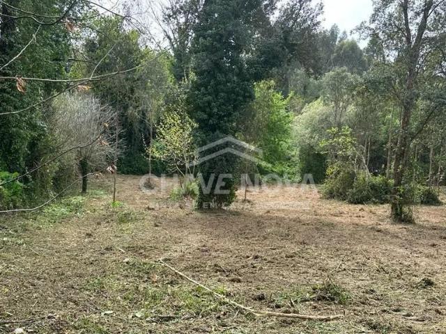 Moradia para Restauro em Anta – Espinho