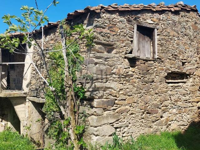 Moradia, Paradela