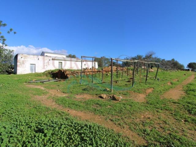 Moradia, Pechão