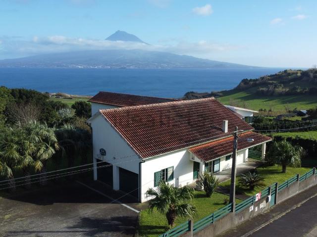 Moradia, Pedro Miguel