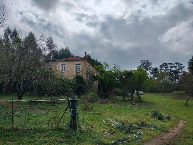 Moradia, Pedroso