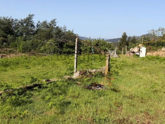 Moradia, Penha Longa