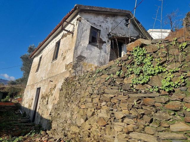 Moradia, Peso da Régua