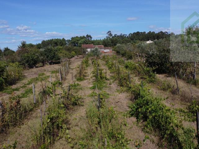 Moradia, Póvoa de Midões