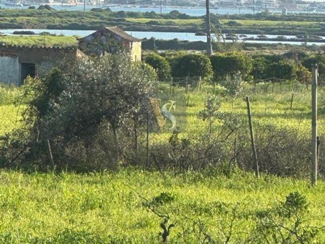 Moradia Rústica T2+1 Venda em Quelfes,Olhão | 26063917059