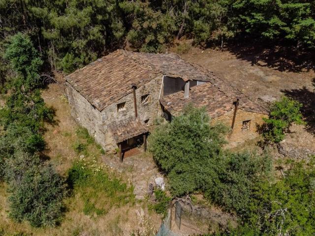 Moradia Rústica T3 / Fundão, Souto da Casa