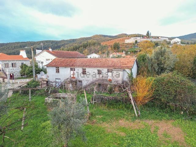 Moradia, Raiva Pedorido Paraíso