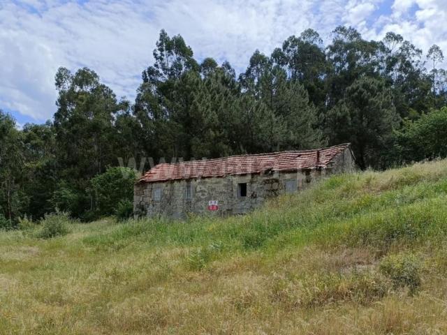 Moradia, Riba de Ave