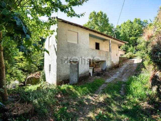 Moradia, Ribas
