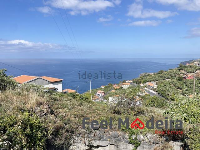 Moradia, Ribeira Brava