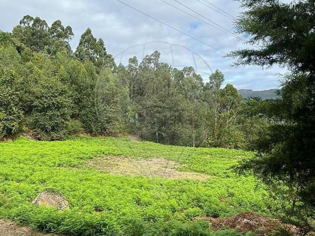 Moradia, Rio Caldo