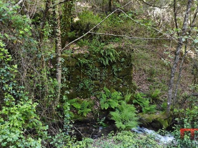 Moradia, Rio Douro