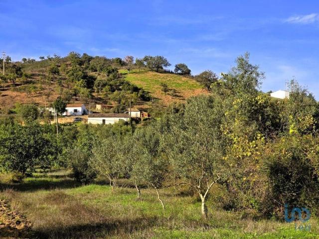 Moradia, São Bartolomeu de Messines