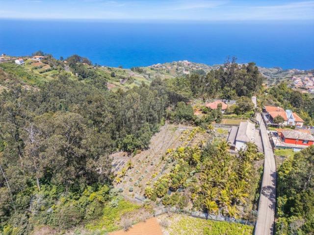 Moradia, São Jorge