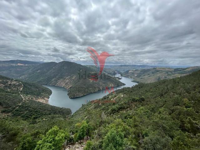 Moradia, São Mamede de Ribatua