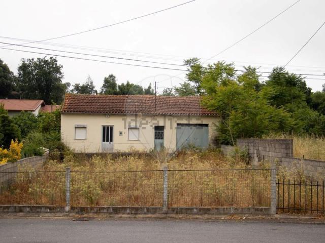 Moradia, São Martinho de Árvore e Lamarosa