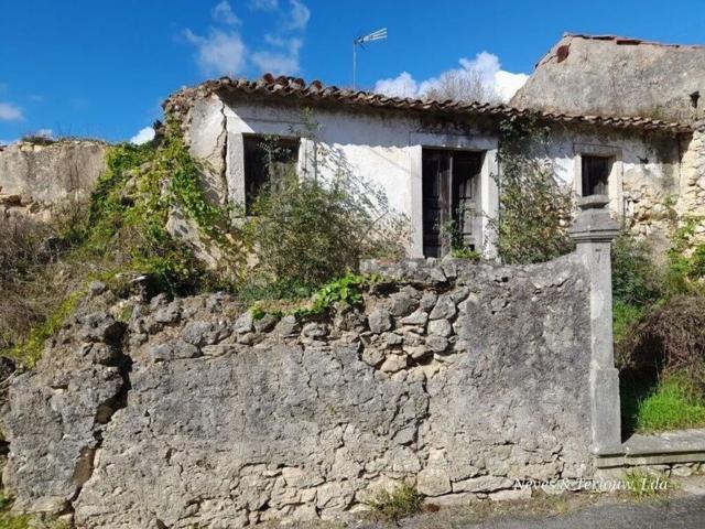 Moradia, São Martinho de Árvore e Lamarosa