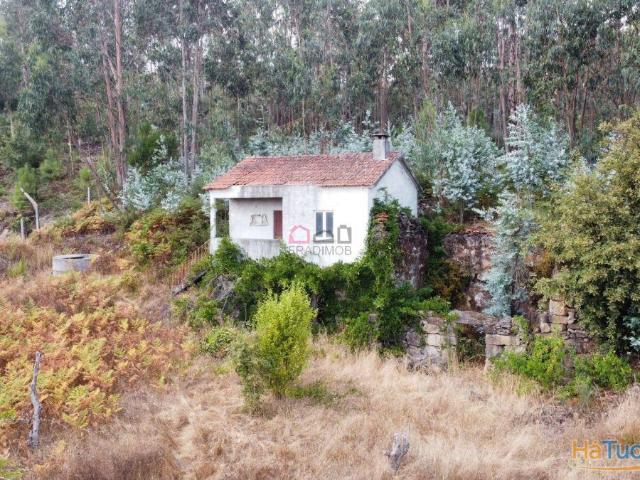 Moradia ? São Pedro do Sul | 26084072540
