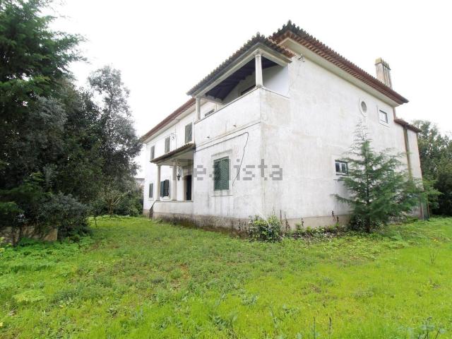 Moradia, São Pedro Lapas Ribeira Branca