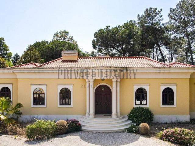 Moradia, Salvaterra de Magos