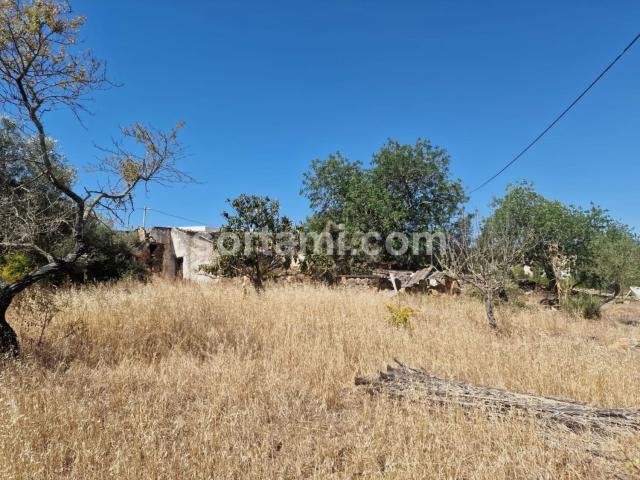 Moradia, Santa Bárbara de Nexe