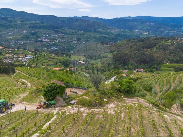 Moradia, Santa Cruz do Douro e São Tomé de Covelas
